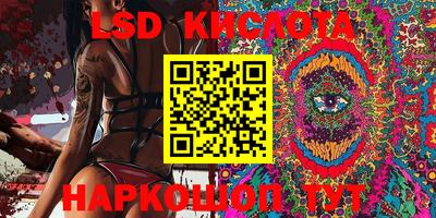 ECSTASY Гатчина