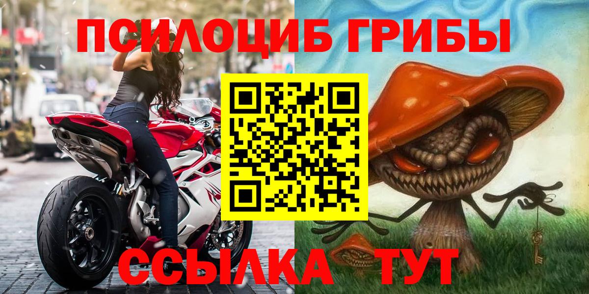 Галлюциногенные грибы Psilocybe Красноармейск