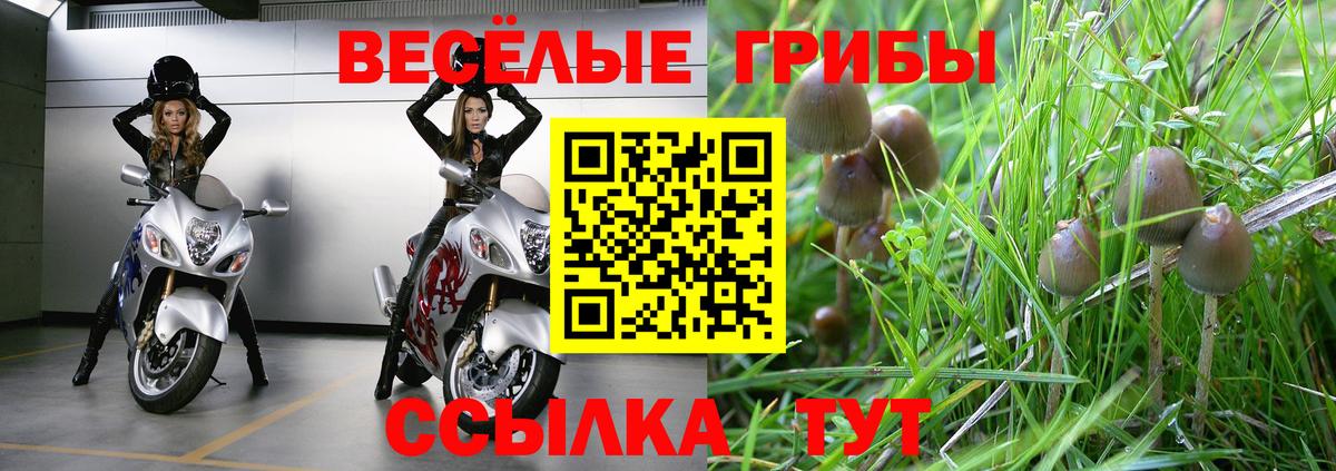 Красноармейск  Псилоцибиновые грибы Cubensis  Вход с VPN  Галлюциногенные грибы Psilocybe 